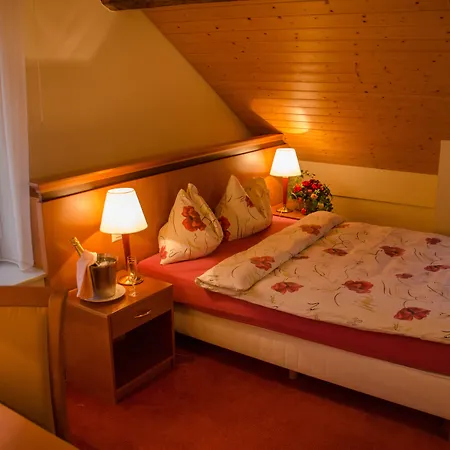 호텔 Communale A L'union 3*