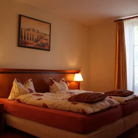 호텔 Communale A L'union 3*