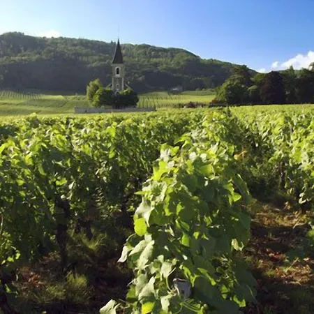 Hotel Communale A L'union 3*