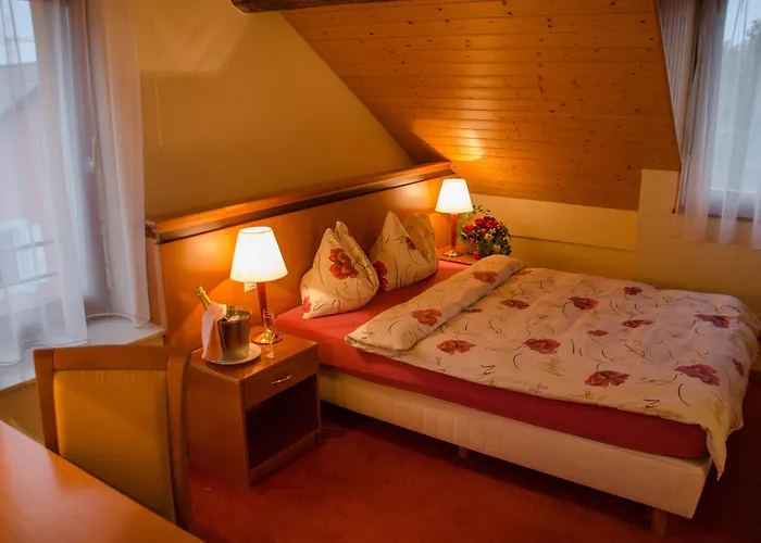 Hotel Communale A L'union 3*