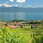 Communale à L'union 3*