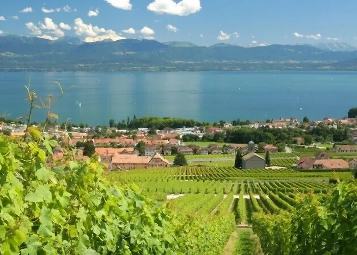 Communale A L'union 3*