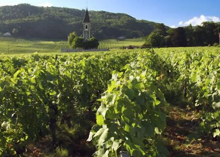 Hotell Communale A L'union 3*